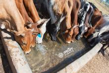 SOLAR WATER PUMP INCREASES SECURITY AT PETER’S RANCH IN NAPAK-KARAMOJA REGION